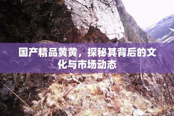 国产精品黄黄，探秘其背后的文化与市场动态