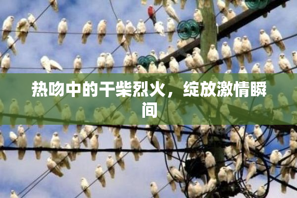 热吻中的干柴烈火，绽放激情瞬间