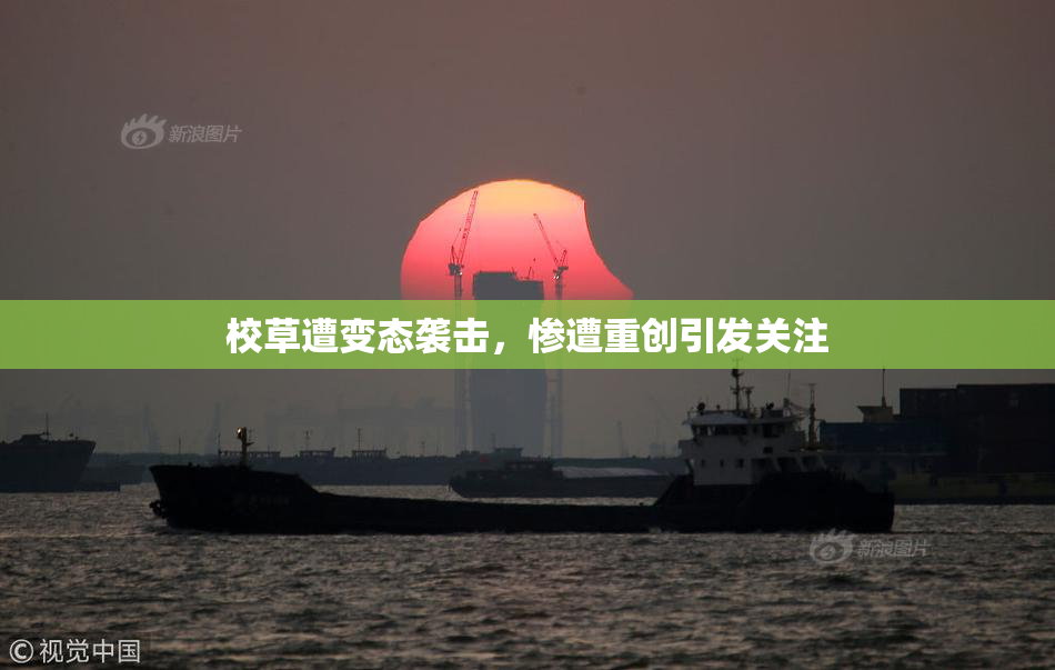 校草遭变态袭击，惨遭重创引发关注