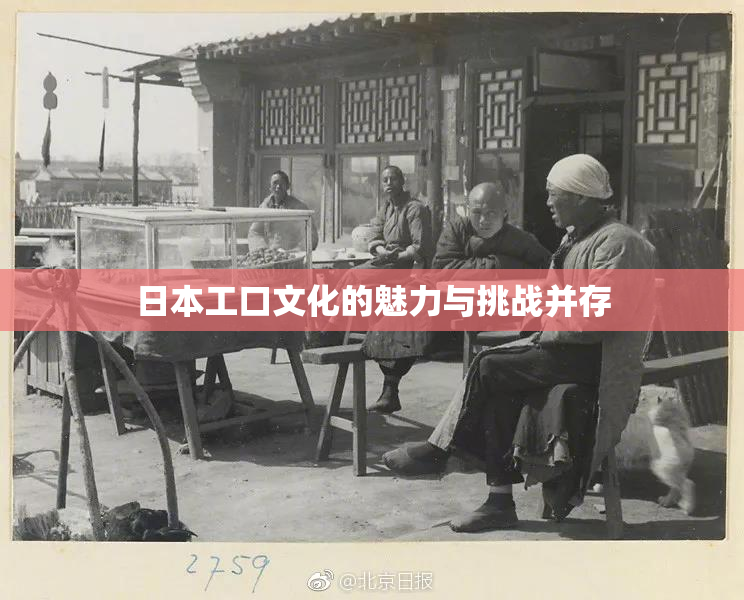 日本工口文化的魅力与挑战并存