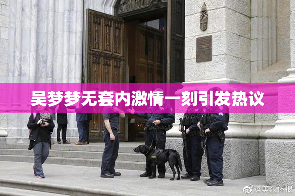 吴梦梦无套内激情一刻引发热议