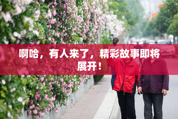 啊哈，有人来了，精彩故事即将展开！