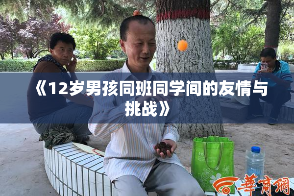 《12岁男孩同班同学间的友情与挑战》