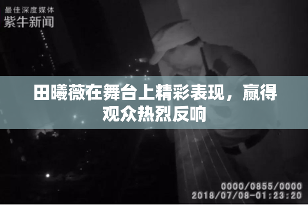 田曦薇在舞台上精彩表现，赢得观众热烈反响
