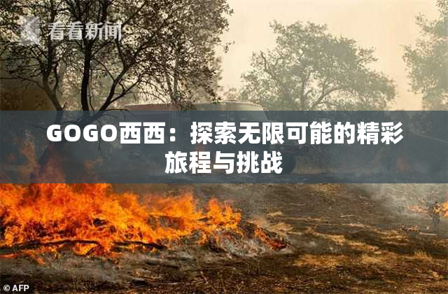 GOGO西西：探索无限可能的精彩旅程与挑战