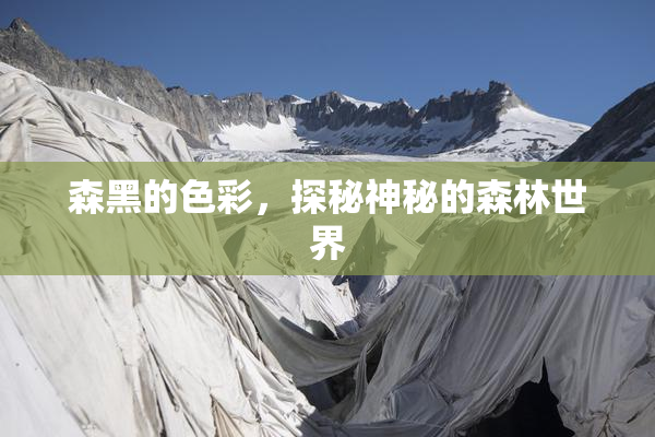 森黑的色彩，探秘神秘的森林世界