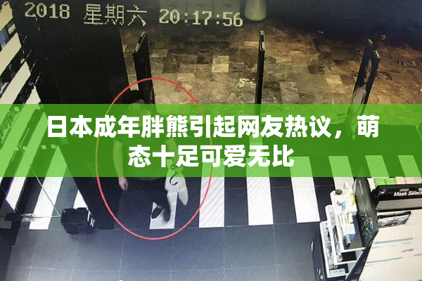 日本成年胖熊引起网友热议，萌态十足可爱无比