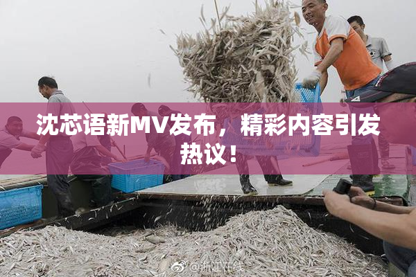 沈芯语新MV发布，精彩内容引发热议！