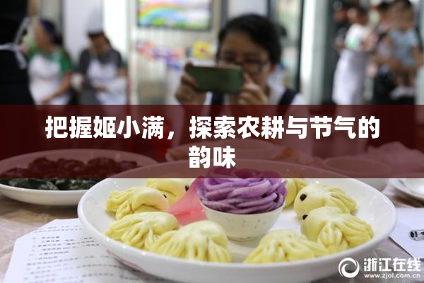 把握姬小满，探索农耕与节气的韵味