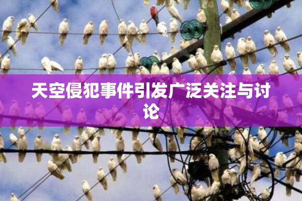 天空侵犯事件引发广泛关注与讨论