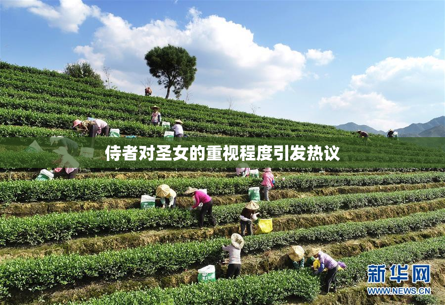 侍者对圣女的重视程度引发热议