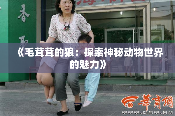 《毛茸茸的狼：探索神秘动物世界的魅力》