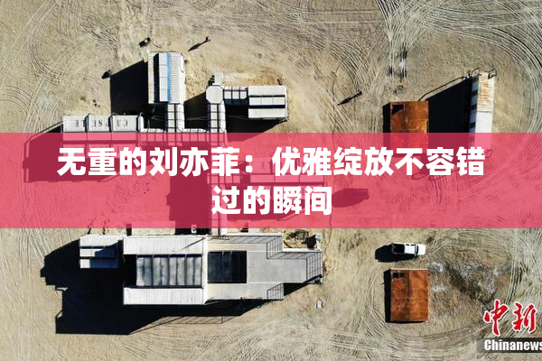 无重的刘亦菲：优雅绽放不容错过的瞬间