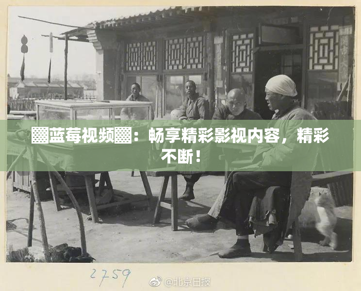 ▓蓝莓视频▓：畅享精彩影视内容，精彩不断！