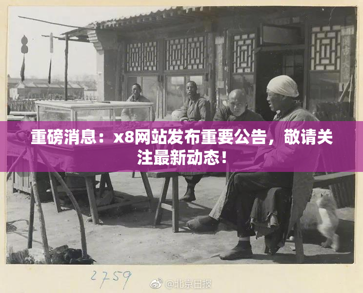 重磅消息：x8网站发布重要公告，敬请关注最新动态！
