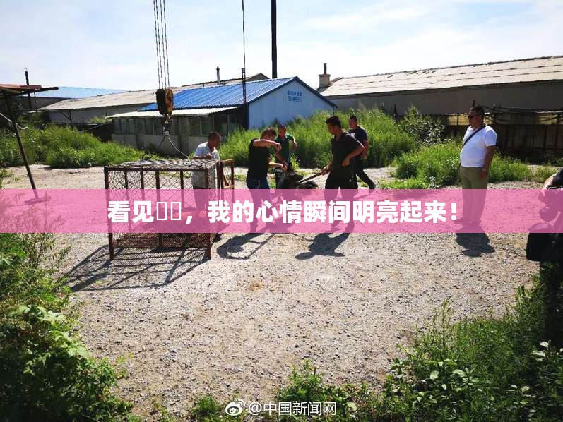 看见妺妺，我的心情瞬间明亮起来！