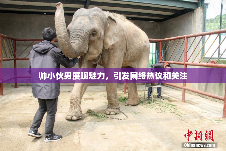 帅小伙男展现魅力，引发网络热议和关注
