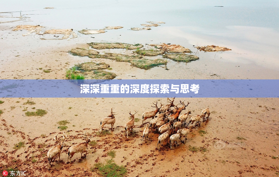 深深重重的深度探索与思考