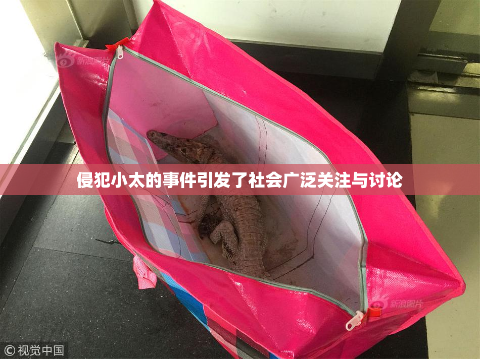 侵犯小太的事件引发了社会广泛关注与讨论