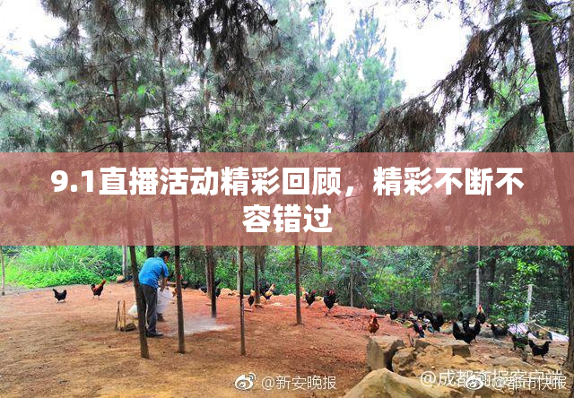 9.1直播活动精彩回顾，精彩不断不容错过