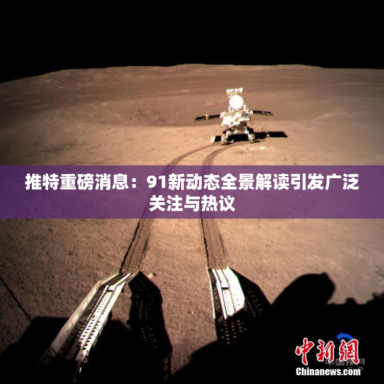 推特重磅消息：91新动态全景解读引发广泛关注与热议