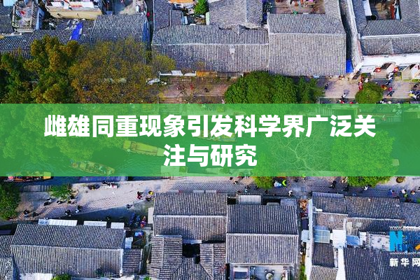 雌雄同重现象引发科学界广泛关注与研究