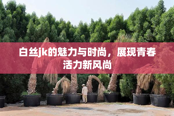 白丝jk的魅力与时尚，展现青春活力新风尚