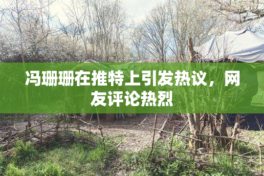 冯珊珊在推特上引发热议，网友评论热烈