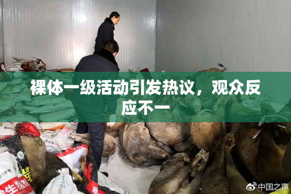 裸体一级活动引发热议，观众反应不一