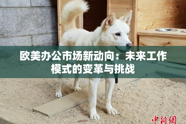 欧美办公市场新动向：未来工作模式的变革与挑战