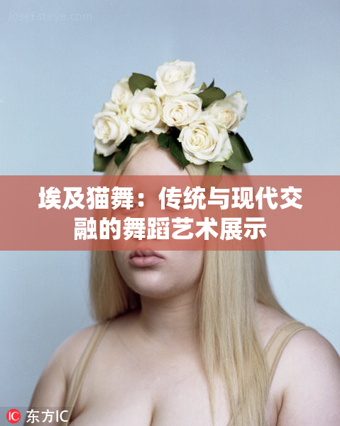 埃及猫舞：传统与现代交融的舞蹈艺术展示