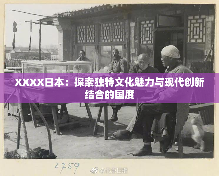 XXXX日本：探索独特文化魅力与现代创新结合的国度