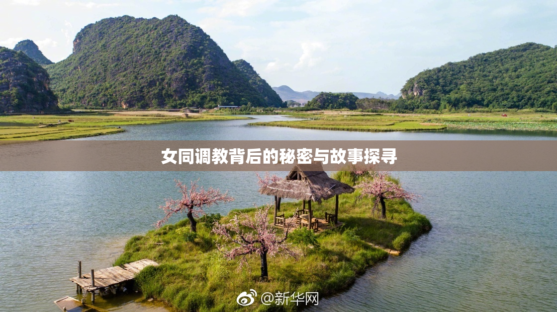 女同调教背后的秘密与故事探寻