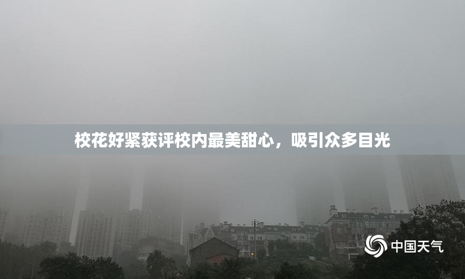 校花好紧获评校内最美甜心，吸引众多目光