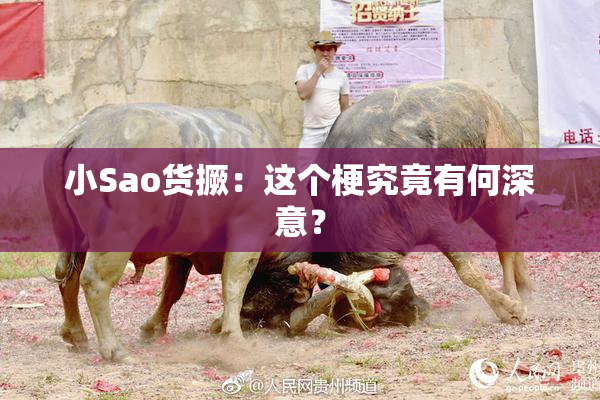 小Sao货撅：这个梗究竟有何深意？