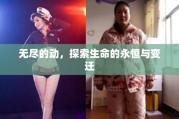 无尽的动，探索生命的永恒与变迁