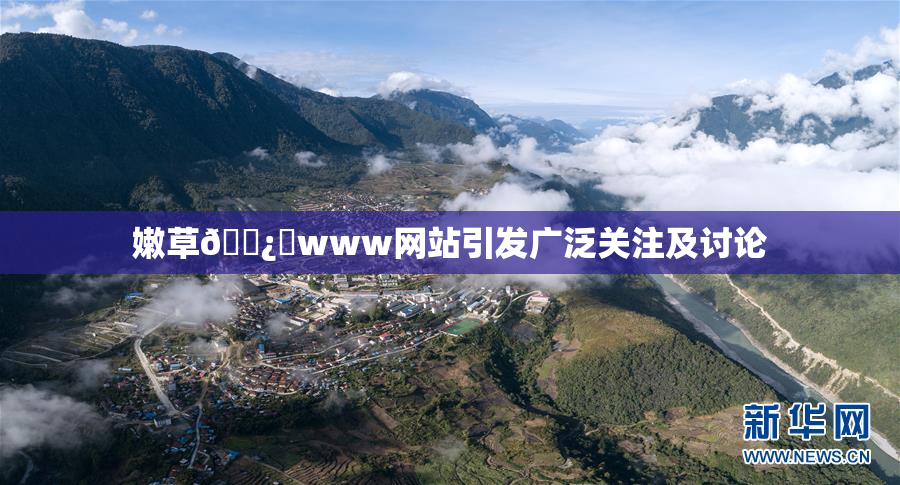 嫩草🌿‌www网站引发广泛关注及讨论