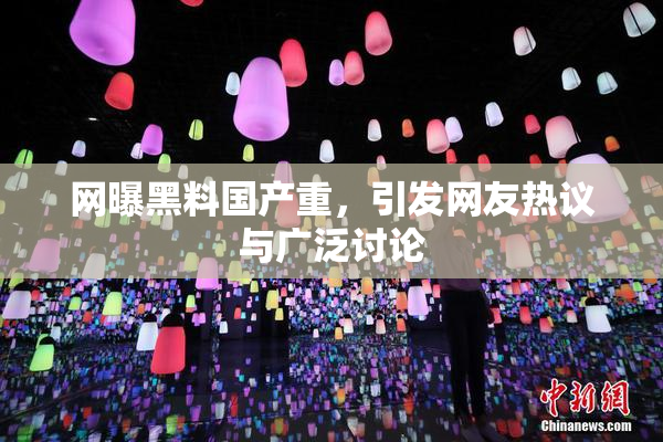 网曝黑料国产重，引发网友热议与广泛讨论