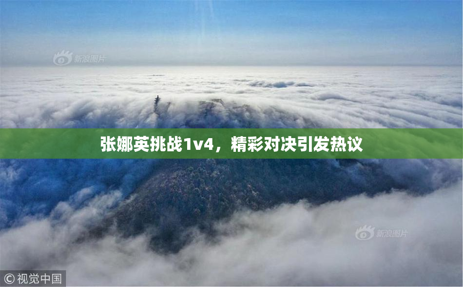 张娜英挑战1v4，精彩对决引发热议
