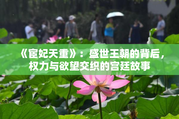 《宦妃天重》：盛世王朝的背后，权力与欲望交织的宫廷故事