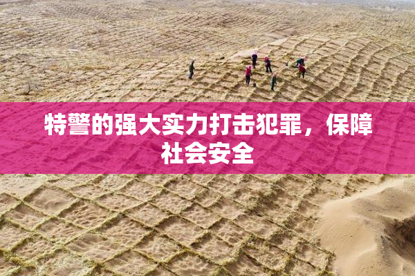 特警的强大实力打击犯罪，保障社会安全
