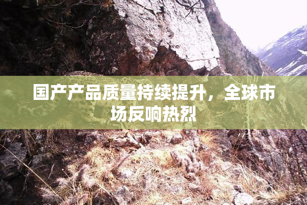国产产品质量持续提升，全球市场反响热烈