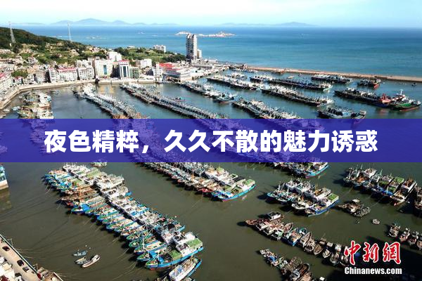 夜色精粹，久久不散的魅力诱惑
