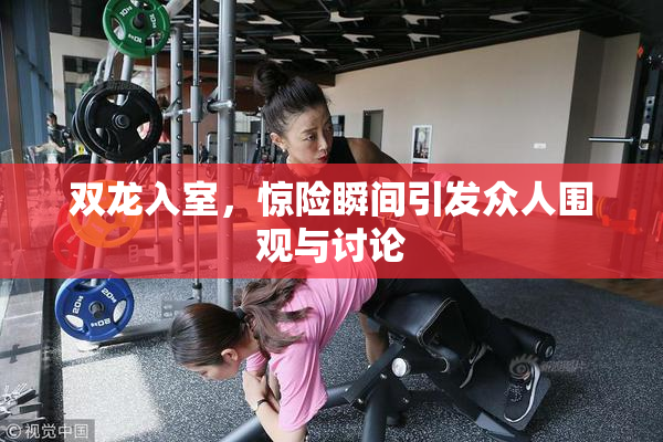 双龙入室，惊险瞬间引发众人围观与讨论