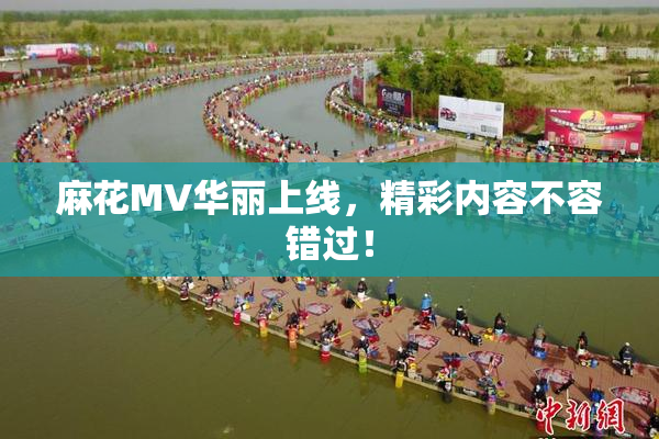 麻花MV华丽上线，精彩内容不容错过！