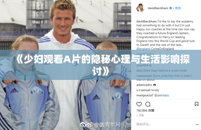 《少妇观看A片的隐秘心理与生活影响探讨》