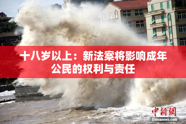 十八岁以上：新法案将影响成年公民的权利与责任