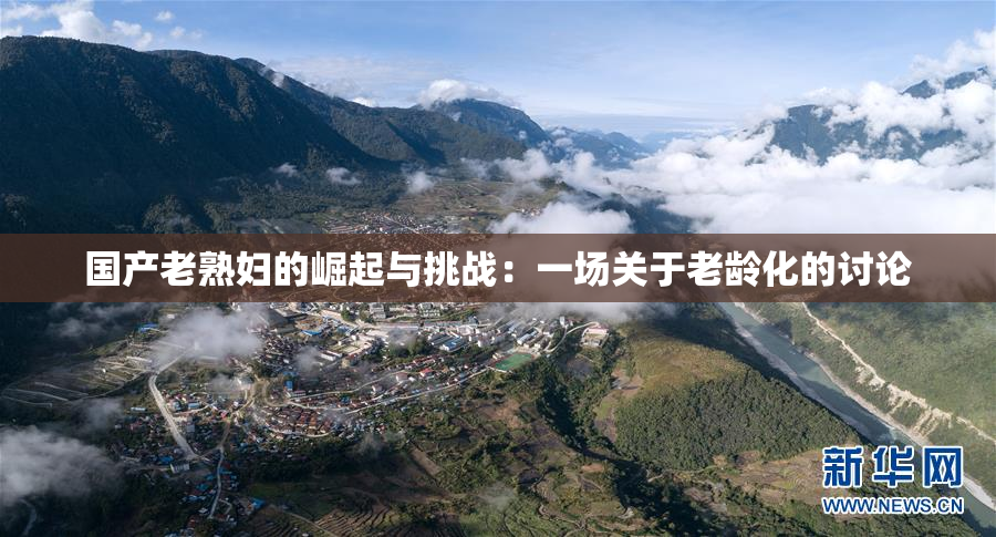 国产老熟妇的崛起与挑战：一场关于老龄化的讨论