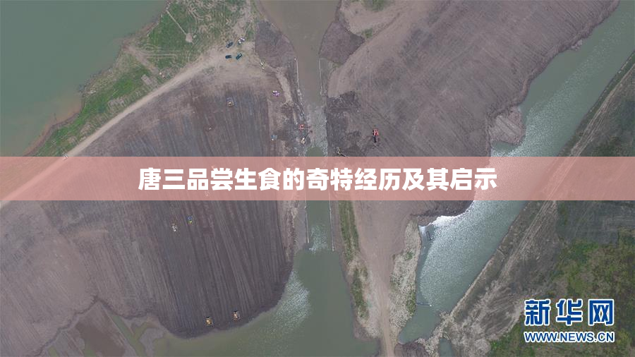 唐三品尝生食的奇特经历及其启示