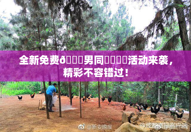 全新免费🔞男同❌‌❌‌活动来袭，精彩不容错过！